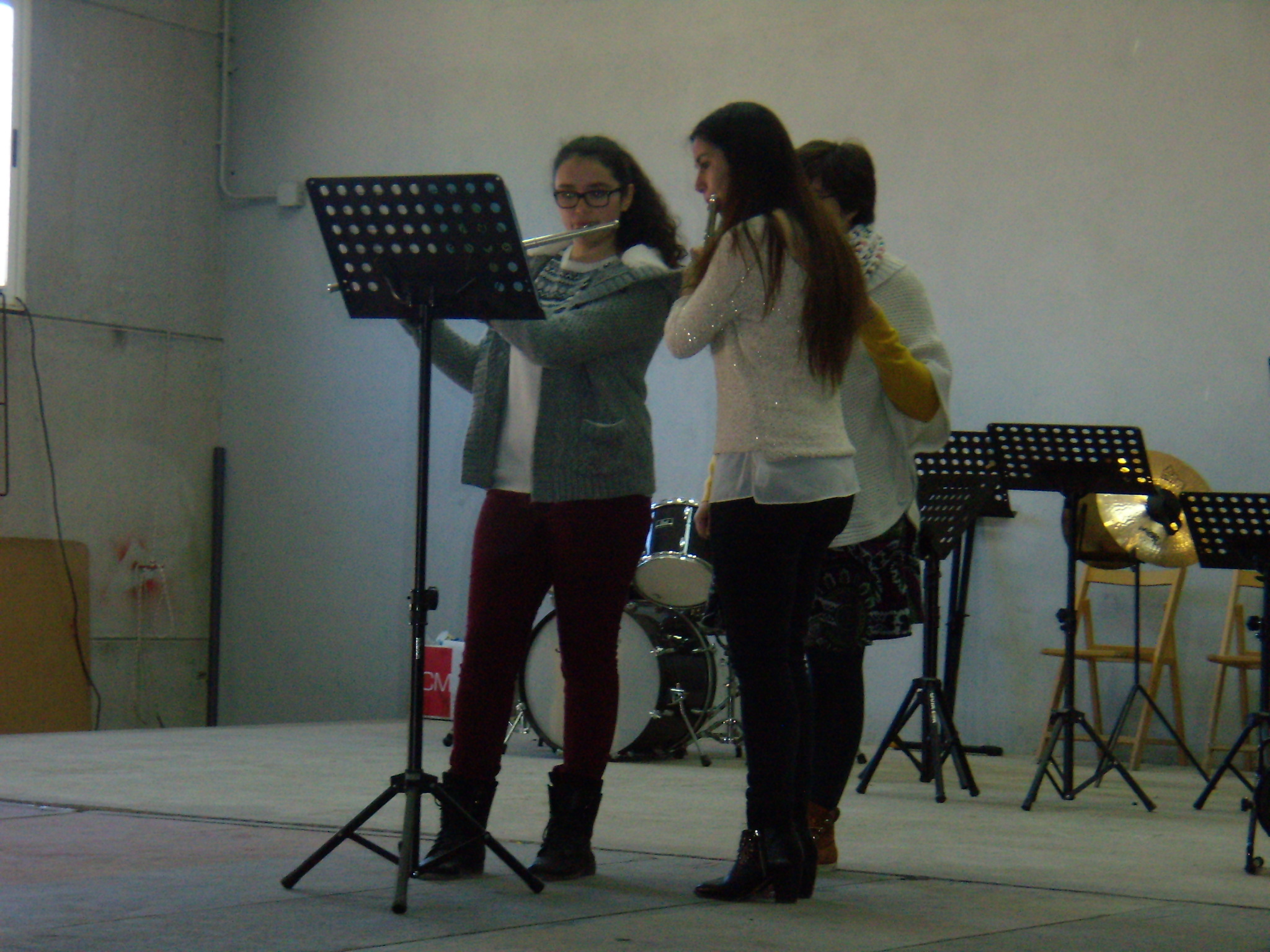 Audicion Escuela Teresa Navidad 2014