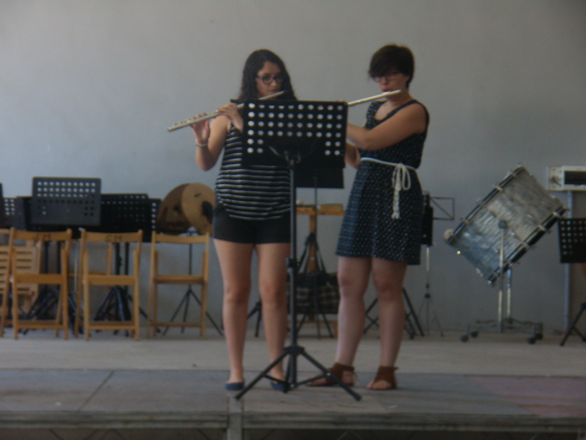 Audicion Escuela Teresa Verano 2015 (8)